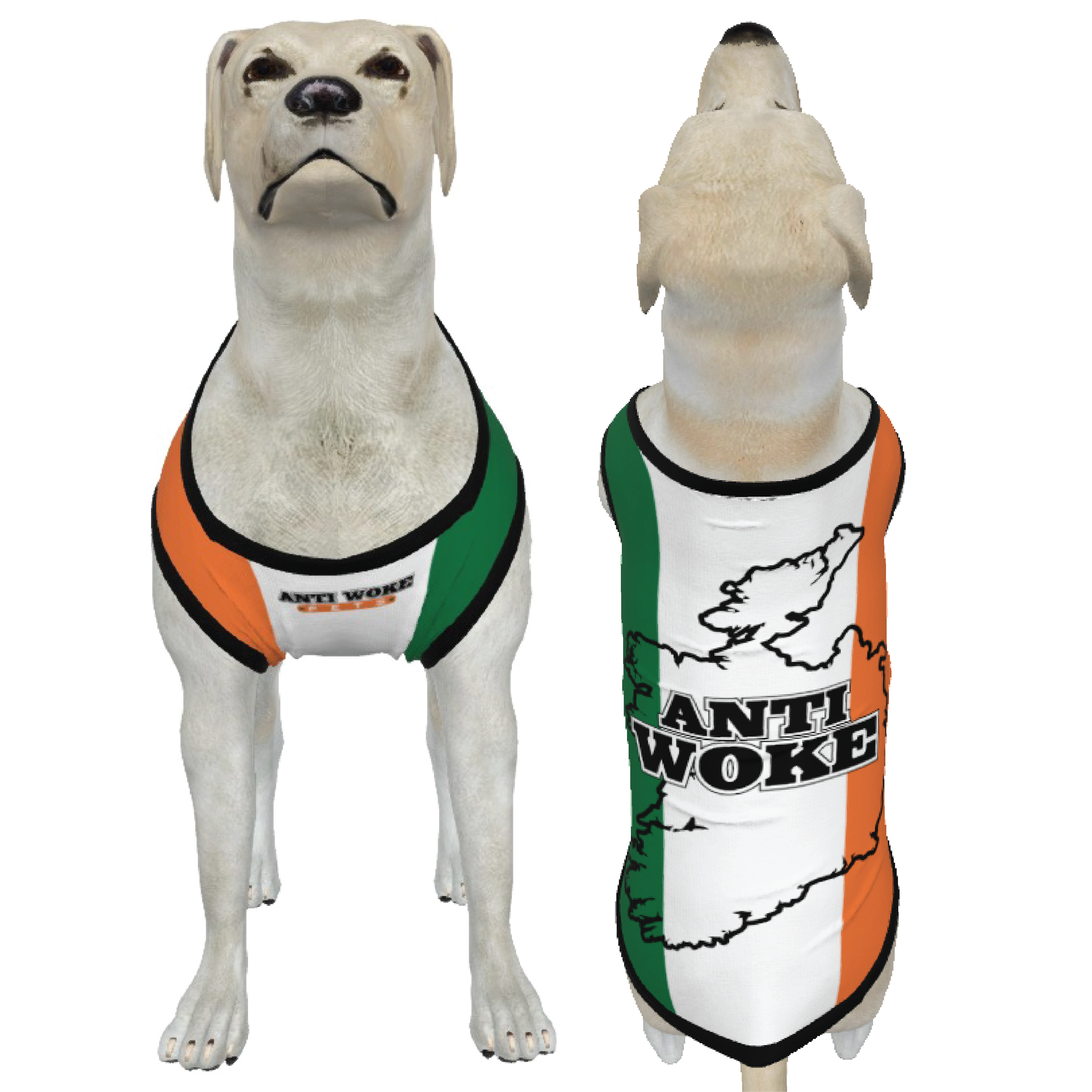 Ireland Flag/ map-Anti Woke- Big Dog's Tank top